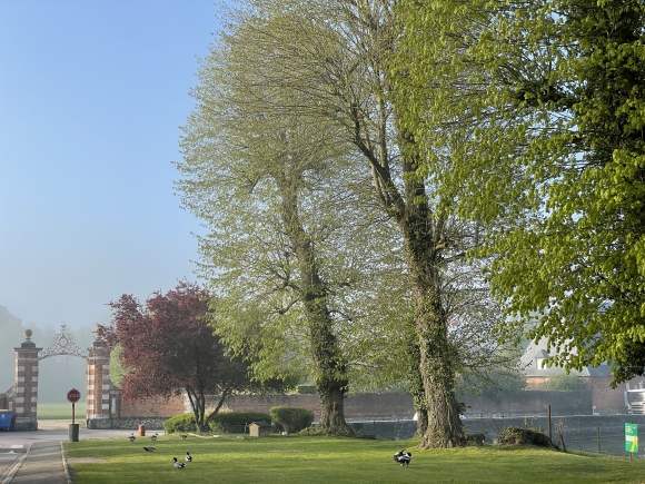 Vue de la randonnée Coteau de Seine entre Ymare, Alizay et Quévreville-la-Poterie au départ de Ymare, 76