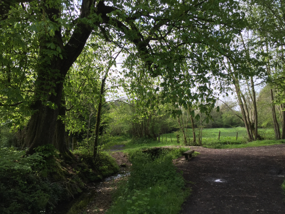 Vue de la randonnée Coteaux de l'Orange. au départ de Fourneville, 14