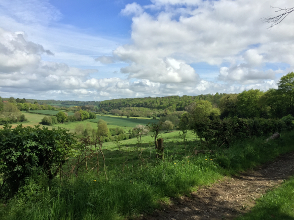 Vue de la randonnée Paysages vallonnés. au départ de Haudricourt, 76