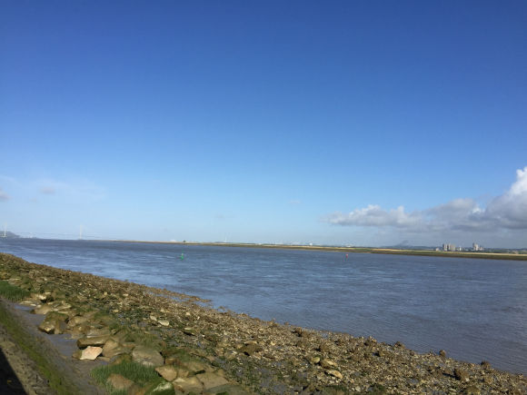 Vue de la randonnée Seine et Risle. au départ de Berville-sur-Mer, 27