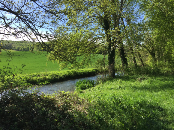 Vue de la randonnée Promenade autour du Fouillebroc. au départ de Touffreville2, 27