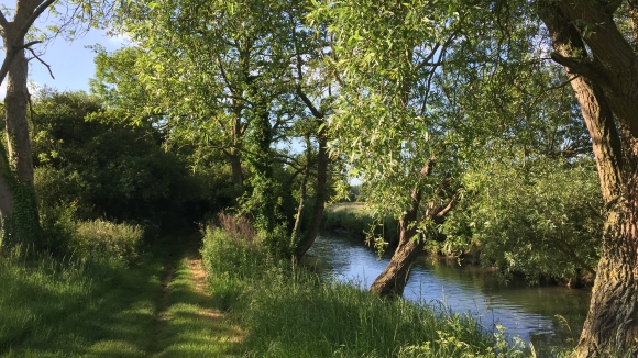 Vue de la randonnée De la plage de Quiberville à Ouville-la-Rivière au départ de Quiberville, 76