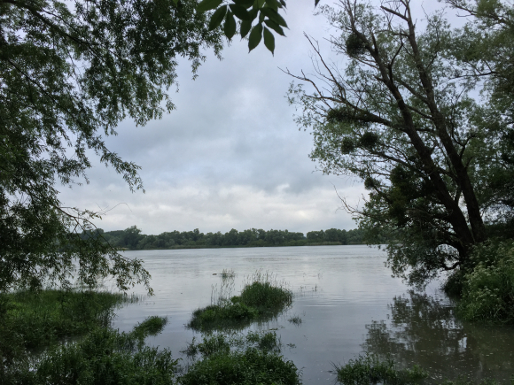 Vue de la randonnée Bord de Seine au départ de Ste-Croix-sur-Aizier, 27