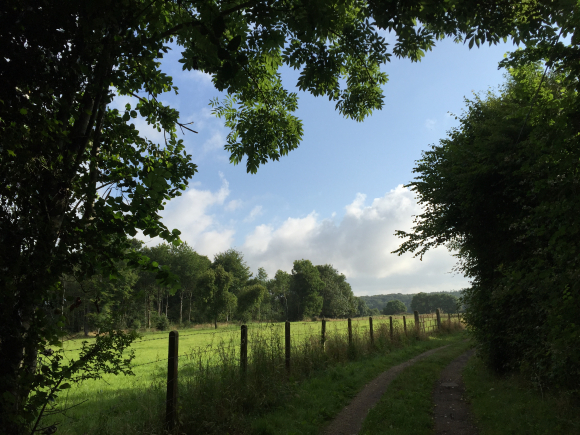 Vue de la randonnée Pays d\'Auge et du Lieuvin au départ de Piencourt, 27