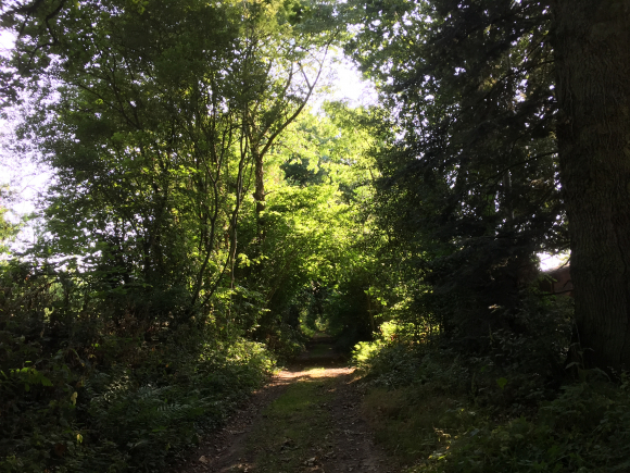 Vue de la randonnée Chemins creux au dessus de Cormeilles. au départ de Cormeilles Lièvre, 27