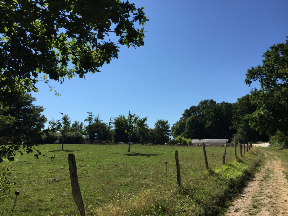 Vue de la randonnée Rives de l'Iton au départ de St-Sébastien-de-Morsent, 27