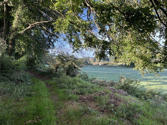Vue de la randonnée Un vent de liberté au départ de Royville, 76