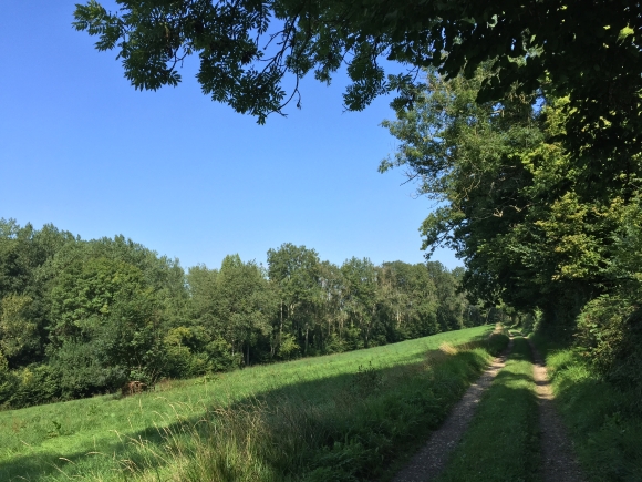 Vue de la randonnée Circuit du Chemin Vert au Chemin de Fer au départ de Brachy, 76