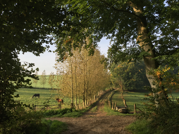 Vue de la randonnée Chemins boisés au départ de Longueville-sur-Scie 2, 76