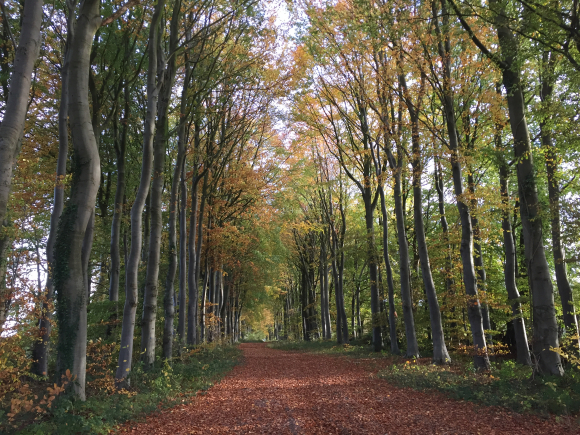 Vue de la randonnée Autour du château de Bosmelet au départ de Vassonville, 76