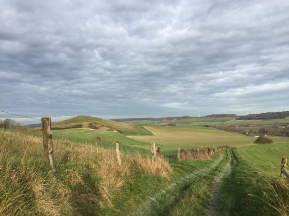 Vue de la randonnée Superbes paysages ! au départ de Campneuseville, 76