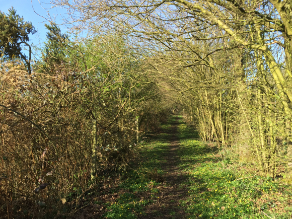 Vue de la randonnée Campagne Cauchoise au départ de Etainhus, 76