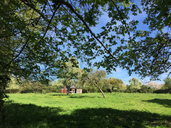 Vue de la randonnée Chemins creux dans le bocage au départ de Bourgeauville, 14