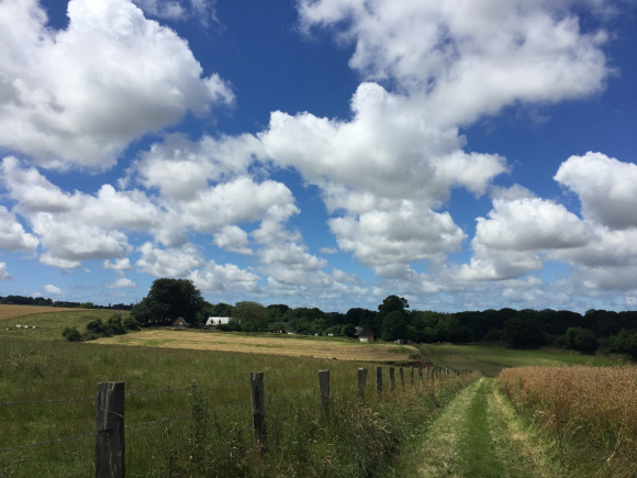 Vue de la randonnée Chemins du Pays de Caux au départ de Criquetot-l'Esneval, 76