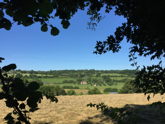 Vue de la randonnée Les coteaux de l'Orbiquet au départ de Glos, 14