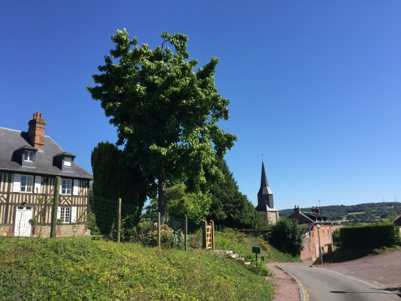 Vue de la randonnée des chemins très variés au départ de Coquainvilliers, 14