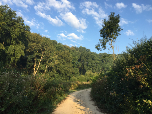 Vue de la randonnée Le Val à Loup au départ de Bénarville, 76