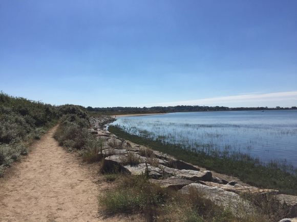 Vue de la randonnée Baie de l'Orne, sur la plage, le long de la réserve ornithologique. la réserve au départ de Merville, 14