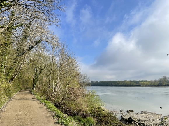 Vue de la randonnée Forêt domaniale de Brotonne et bord de Seine au départ de Hauville 2, 27