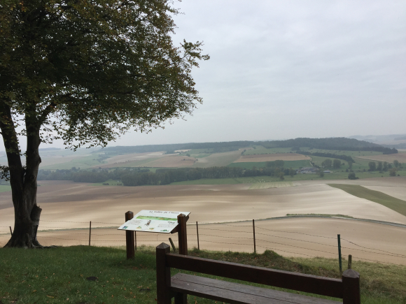 Vue de la randonnée vallée d'Yères et forêt au départ de Grandcourt, 76
