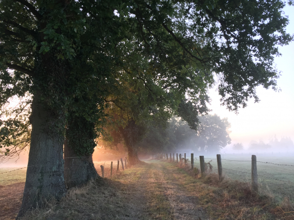 Vue de la randonnée Seine et Grand'Mare au départ de Trouville-la-Haule, 27