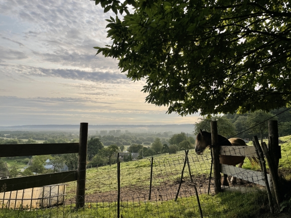 Vue de la randonnée Le Marais Vernier au départ de Bouquelon, 27