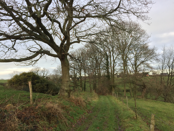 Vue de la randonnée petites routes et chemins de campagne au départ de St-Martin-du-Bec, 76