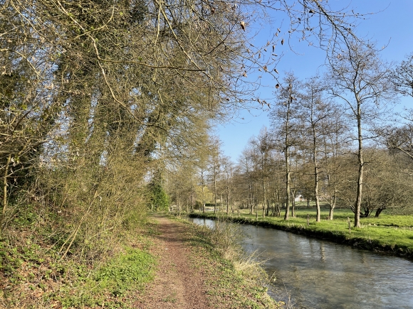 Vue de la randonnée Paysages et patrimoine de la vallée de la Durdent en Pays-de-Caux au départ de Héricourt-en-Caux, 76