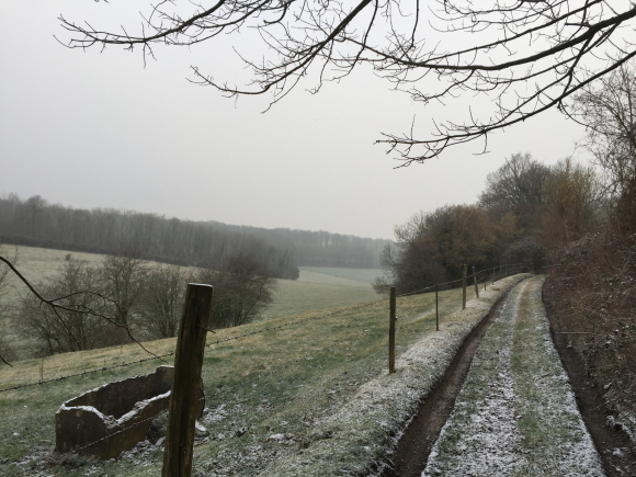 Vue de la randonnée Campagne et forêt au départ de Pommeréval, 76