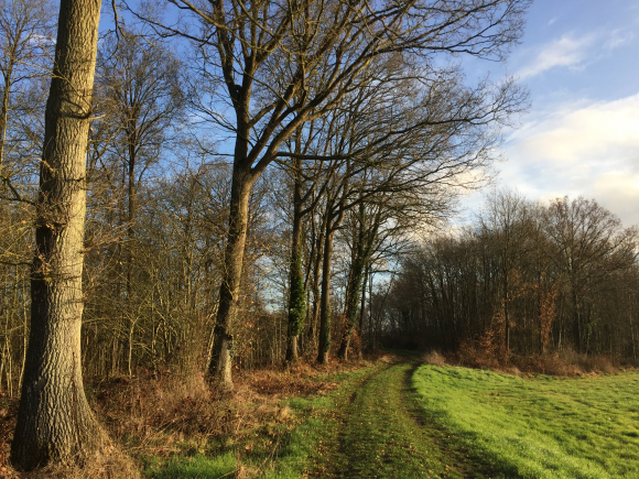 Vue de la randonnée bel itinéraire vallonné au départ de Le Cormier, 27