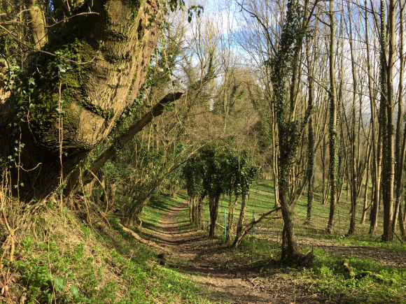 Vue de la randonnée Pays de Bray et forêt d'Eawy au départ de Bully, 76