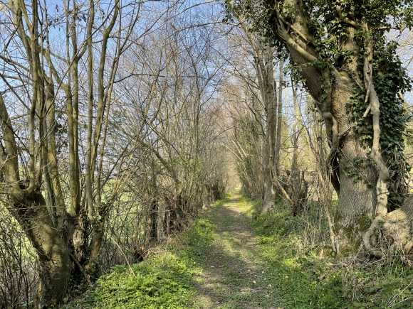 Vue de la randonnée Pointes nord de la forêt de Montfort au départ de Brestot, 27