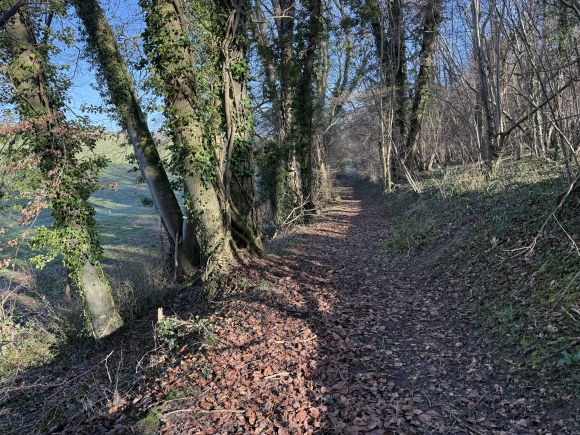 Vue de la randonnée Forêt domaniale et panorama de la Mistaquerie au départ de Beauvoir-en-Lyons, 76