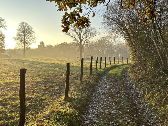 Vue de la randonnée Chemins du bocage et des bois au départ de Valletot, 27