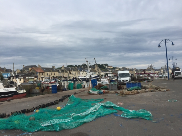 Vue de la randonnée Port-en-Bessin et autour du golf au départ de Port-en-Bessin, 14