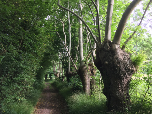 Vue de la randonnée Sur les pas de l'ours au départ de St-Pierre-des-Ifs, 27