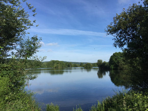 Vue de la randonnée Les étangs de Pont-Audemer au départ de Toutainville, 27