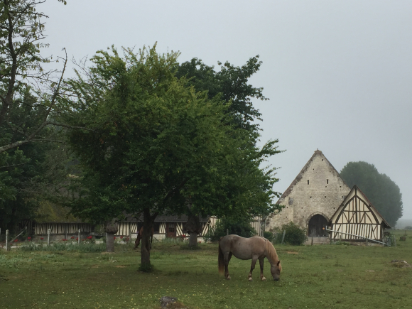 Vue de la randonnée chemin de halage en bord de Seine au départ de Heurteauville, 76