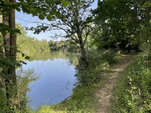 Vue de la randonnée Bois, plaines, églises, châteaux... au départ de La Chapelle-du-Bois-des-Faulx, 27