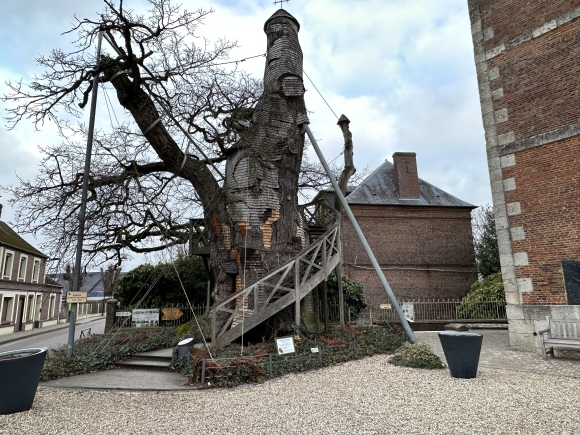 Vue de la randonnée Du Chêne d'Allouville à ceux de la forêt du Trait-Maulévrier au départ de Allouville-Bellefosse 2, 76