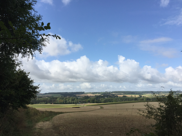 Vue de la randonnée Les 2 rives de l'Eaulne au départ de Ste-Beuve-en-Rivière, 76