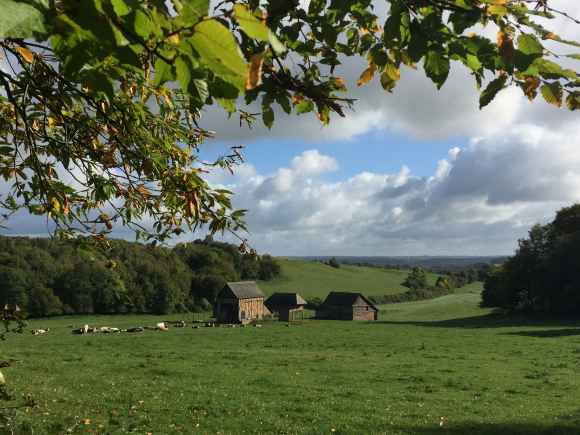 Vue de la randonnée Chemins du Pays de Bray au départ de Sigy-en-Bray, 76