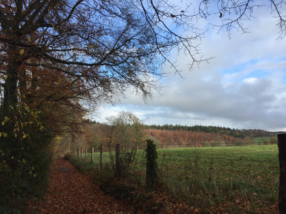 Vue de la randonnée Sur les traces des seigneurs de Giffard au départ de Longueville-sur-Scie, 76