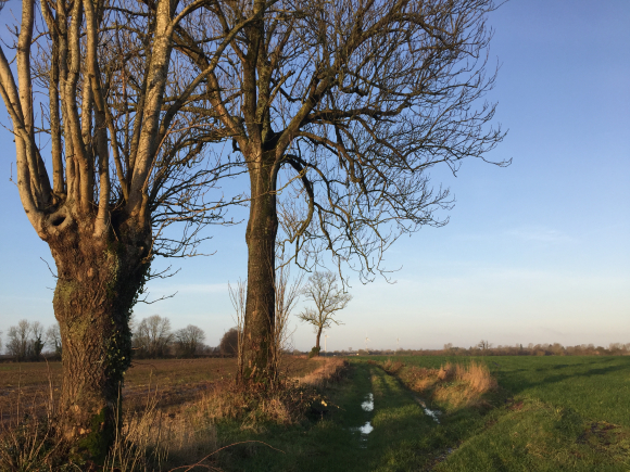 Vue de la randonnée La campagne entre Forges et Aumale au départ de Criquiers, 76