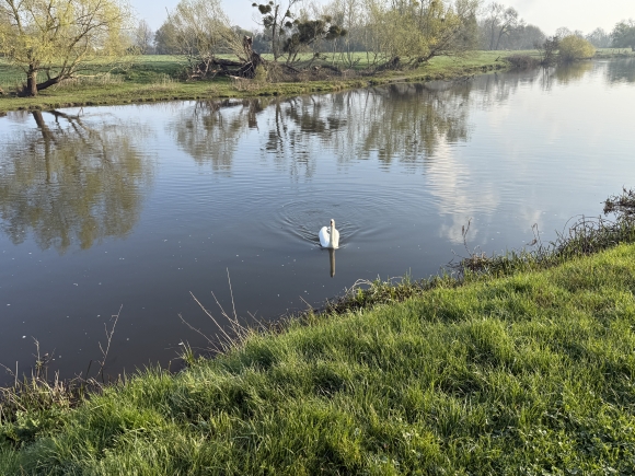 Vue de la randonnée Bord de l'Eure et forêt domaniale au départ de Pont-de-l'Arche, 27
