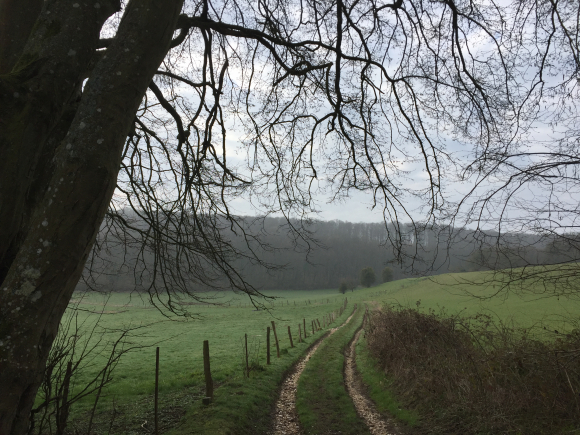 Vue de la randonnée Belle boucle en forêt domaniale de Lyons au départ de Fleury-la-Forêt, 27
