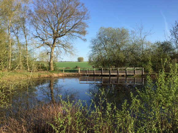 Vue de la randonnée Bois du Champ-de-Bataille au départ de St-Nicolas-du-Bosc, 27