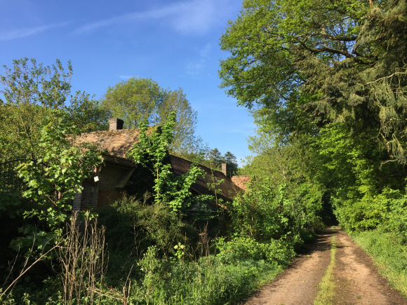 Vue de la randonnée Circuit François 1er dans le bois de Mézières au départ de Mézières-en-Vexin, 27