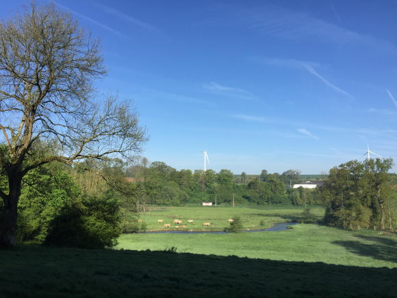 Vue de la randonnée Entre Saâne et Vienne au départ de Lammerville, 76