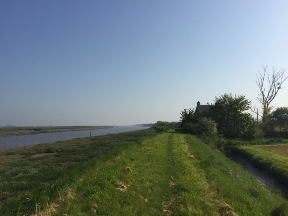 Vue de la randonnée Le long du Canal de Carentan à la Mer au départ de Brévands, 50